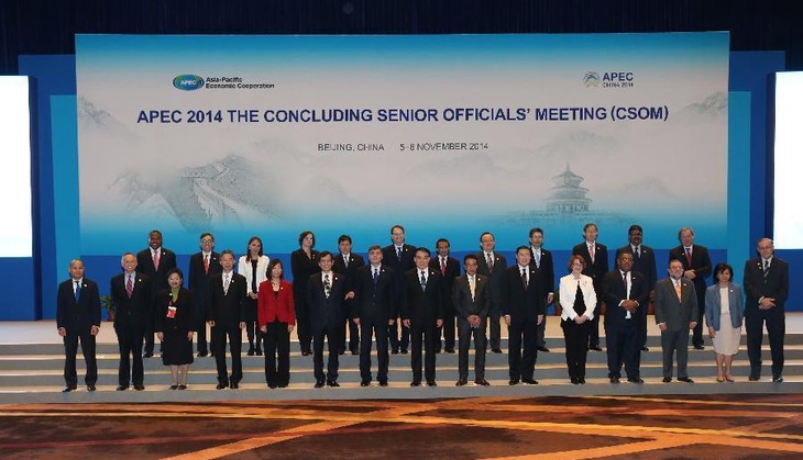 APEC Senior Officials meeting 2014 opens  - ảnh 1